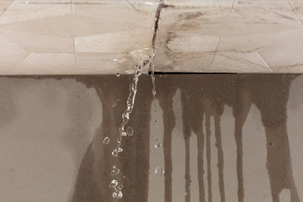 Professional Water Damage Inspection technician working in New Trenton, IN